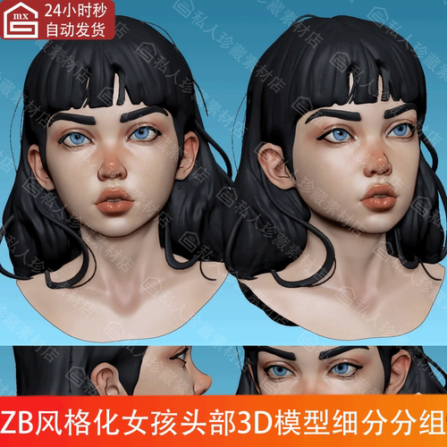 ZBrush风格化女孩头部头像3d模型ZTL细分分组女性头刘海发型高模