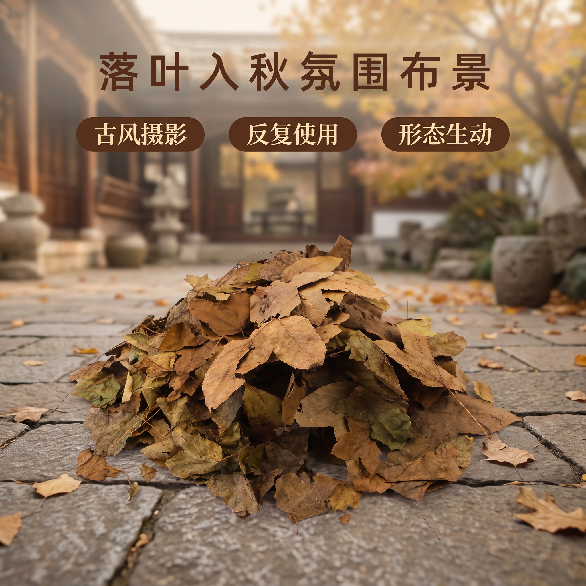 枫树叶铺设场地造景花艺场景覆盖