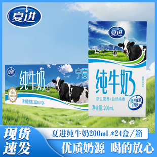 9月产 夏进纯牛奶200ml*24盒整箱早餐搭档全脂纯牛奶特价
