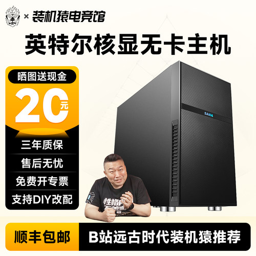 14100/13400/270K PLUS核显无卡电脑DIY APE装机猿自营电竞馆