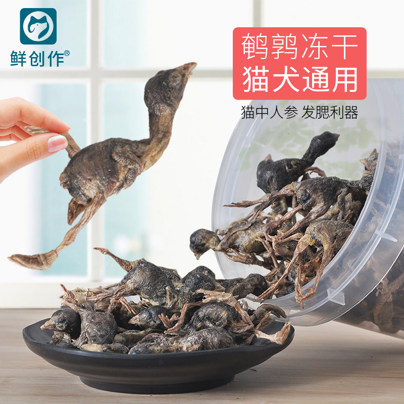 创作成猫营养增肥补钙肉干小鹌鹑