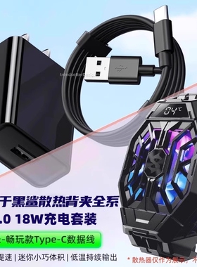 赢潜 适用黑鲨散热器2pro充电器头快充3pro散热背夹4pro/3/2/5一代Type-c数据线插头18W瓦套装