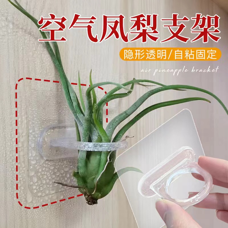 空气凤梨底座支架配饰冰箱贴自粘透明无痕胶墙贴粘贴神器净化空气