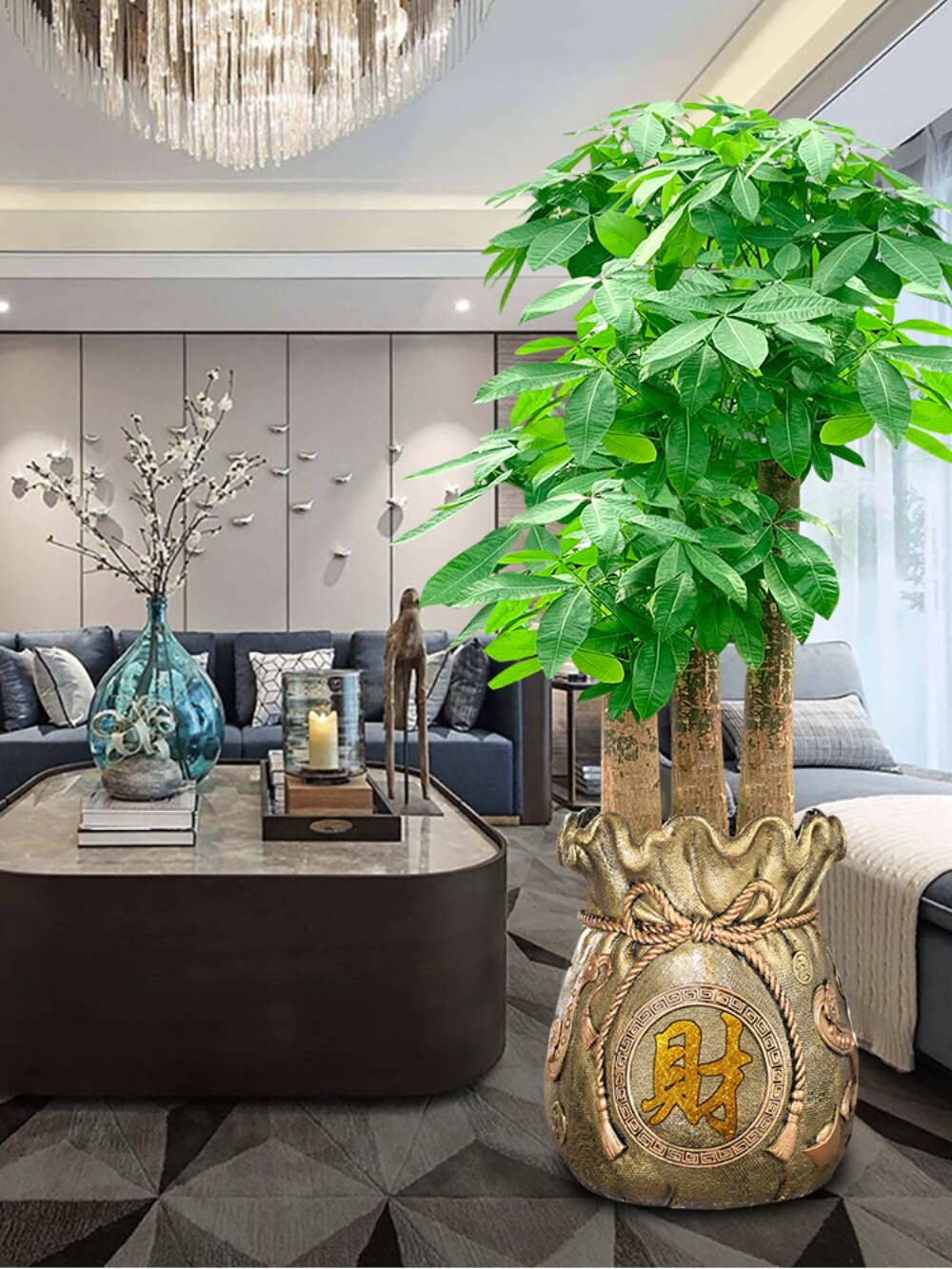 i客厅旺宅绿植大型发财树乔迁新居礼品高档大气实用室内植物开业