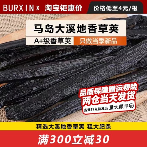 粗大肥条香草BURXIN多买多送