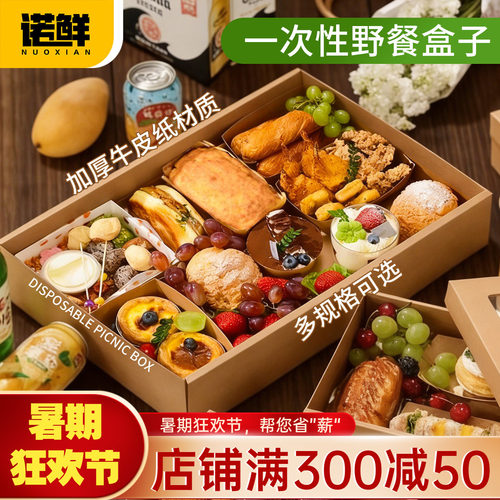 一次性春游打包郊游露营野餐盒子