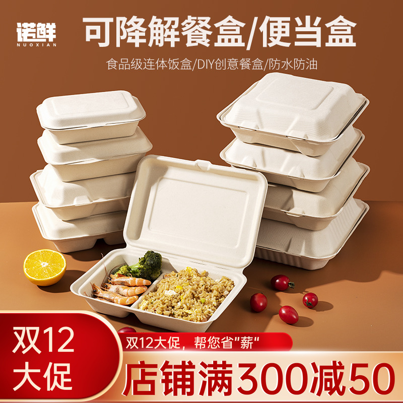 一次性饭盒餐盒家用商用水果盒