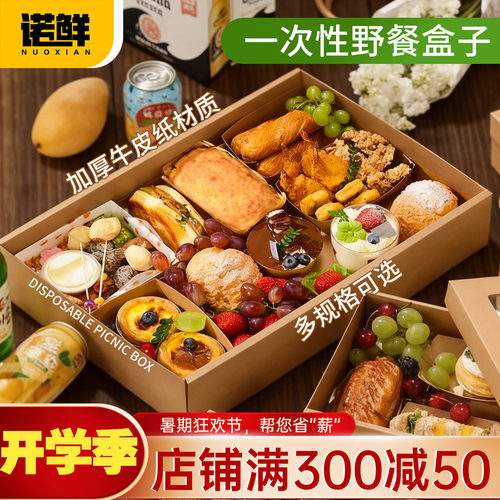 一次性春游打包郊游露营野餐盒子