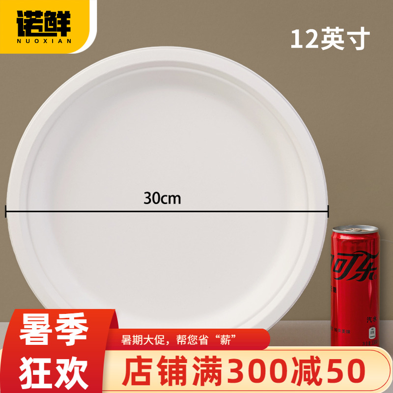 可降解紙盤圓盤餐盤蛋糕盤畫畫盤