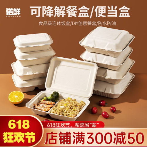 一次性饭盒餐盒家用商用水果盒