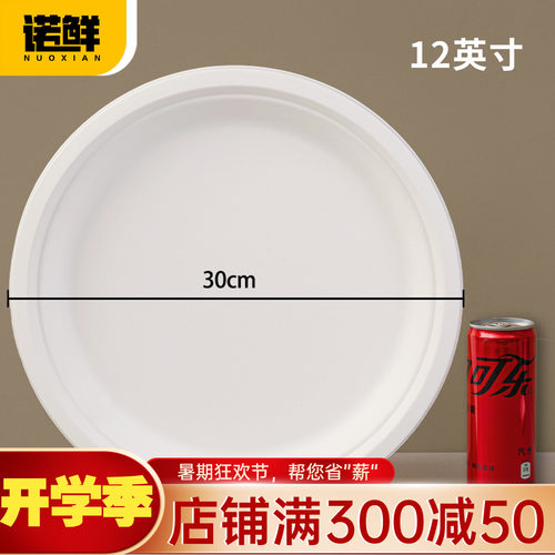 可降解纸盘圆盘餐盘蛋糕盘画画盘