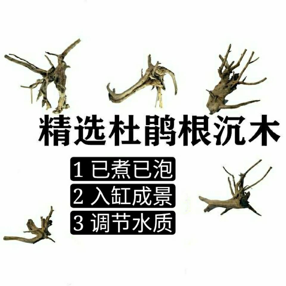 鱼缸木头价格 鱼缸木头图片 星期三 鱼缸木头价格 鱼缸木头图片 星期三