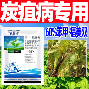 60%苯甲福美双杀菌剂烟草炭疽病专用药苯醚甲环唑坐正品福美双霜