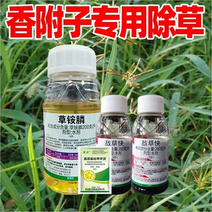 香附子克星专用除草剂正品草胺磷铵膦敌草快怏农药高效氯吡甲禾灵