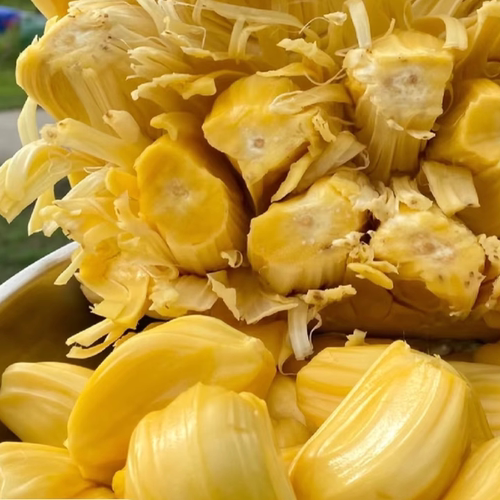 顺丰包邮越南进口脆甜菠萝蜜