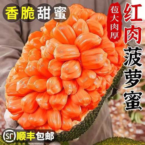 【顺丰包邮】正宗越南进口印尼红菠萝蜜干苞脆甜产地直采新鲜水果