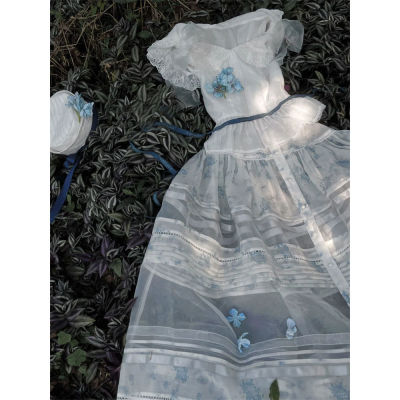 【玻璃樽】气质温柔风套装裙女法式优雅上衣碎花蓝雪花半裙两件套