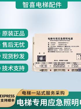 电梯应急照明电源EMA25300B9 F5 M2 M3适用江南快速西子奥的斯