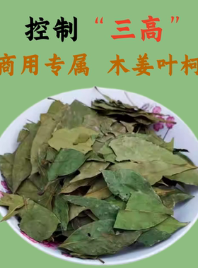 木姜叶柯多穗石柯甜茶叶绿茶工艺炒制老叶片子味道不甜