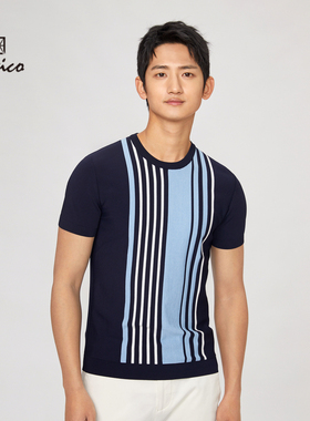 【商场同款】Lavico/朗维高男装时尚款条纹常规圆领短袖针织衫男