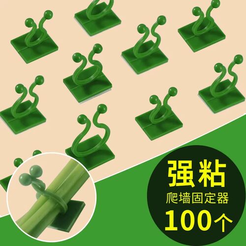 【下单立减50】绿萝爬上神器爬墙上绿箩固定器绿植攀爬夹子墙上