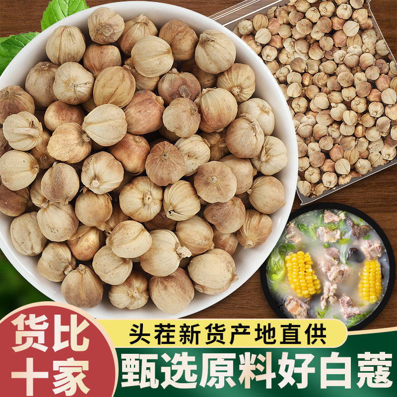 白豆蔻500克包邮白寇白扣