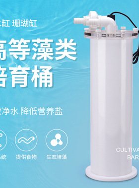 海水培藻桶 外置高等藻类培育桶 神桶 海水珊瑚缸ats uas除NO3PO4