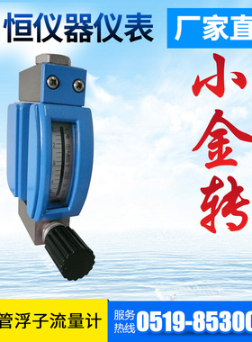 直供 微小流量金属管浮子流量计LZZ- W/RR1 变面积式流量计