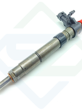 XF X250 2.2D 11 to 15 224DT 柴油喷油嘴 9687454480 1103309