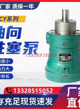 新款启东海川轴向柱塞油泵10MCY14-1B 25YCY 5 40 63 80 32PC包邮