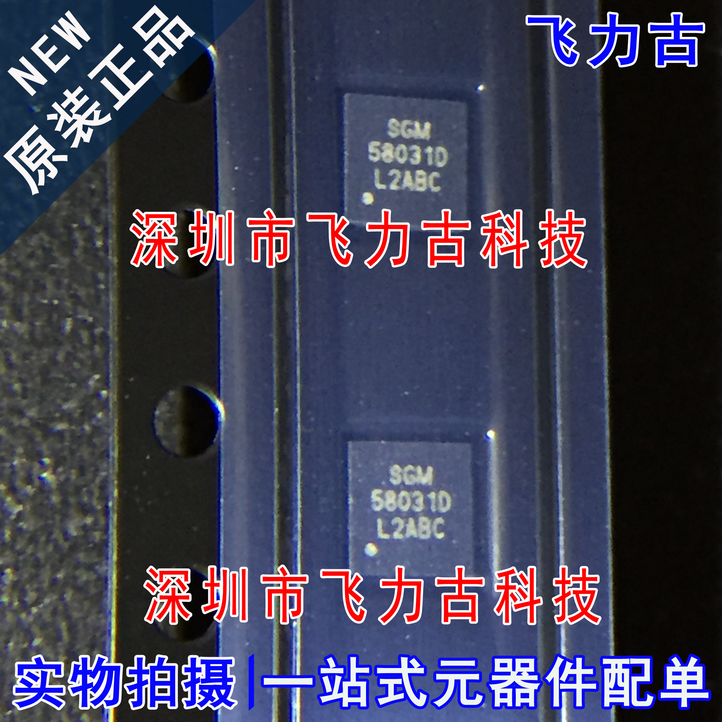 飞力古 全新原装正品 SGM58031XTD10G/TR SGM58031D  TDFN10 芯片