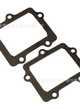 2片装 接口密封圈替换垫片 G307 用于V307A V307B VForce 簧片阀