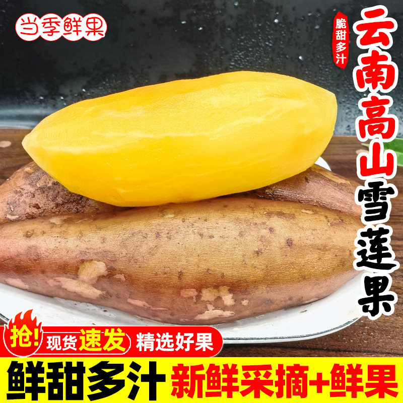 云南高山雪莲果新鲜水果当季现挖脆甜红心雪连果时令大果整箱包邮