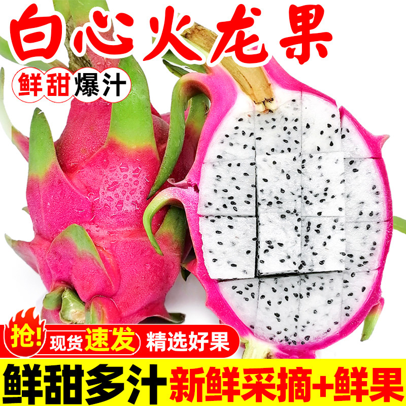 新鲜现摘白心火龙果甜蜜爆汁