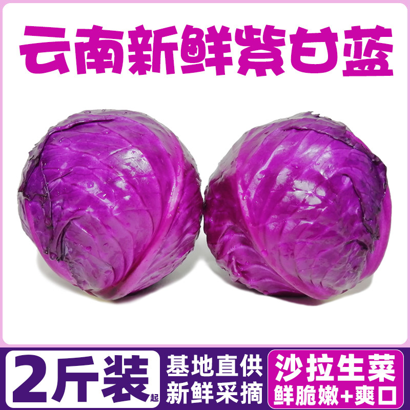 云南新鲜紫甘蓝9斤农家现摘卷心菜沙拉椰菜紫包菜批发蔬菜包邮5