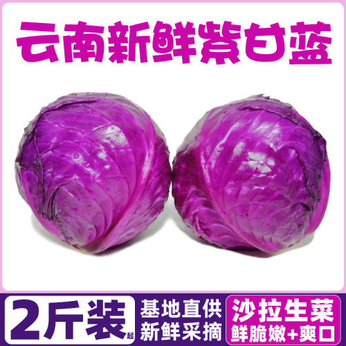 云南新鲜紫甘蓝9斤农家现摘卷心菜沙拉椰菜紫包菜批发蔬菜包邮5