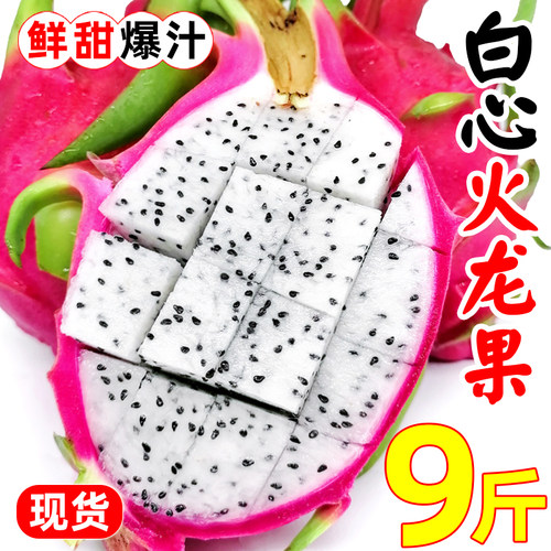 越南白心火龙果9斤当季进口热带