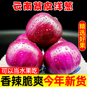 2024云南紫皮洋葱新鲜蔬菜