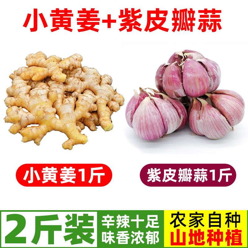 云南紫皮大蒜小黄姜组合装多瓣香蒜红皮香辣生姜老姜现挖高山土姜