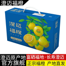 官方原产地 富硒福地长寿澄迈福山现摘发货 海南澄迈福橙