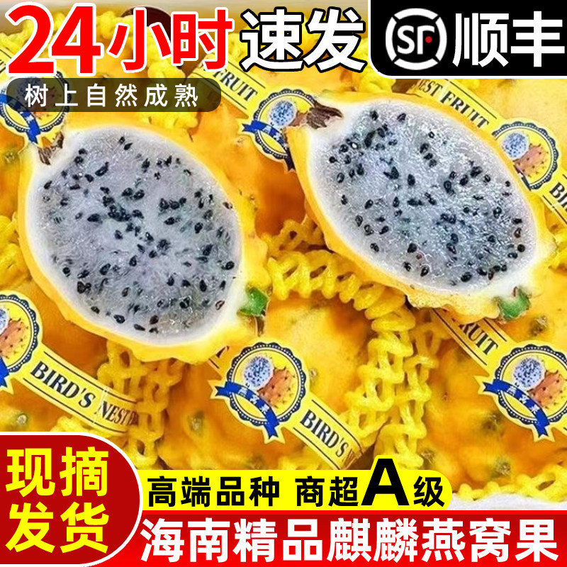 官方原产地海南燕窝果