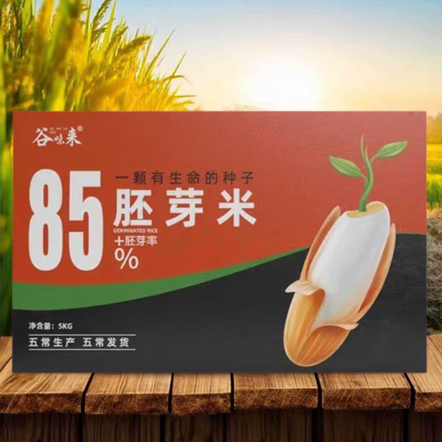 2025年胚芽米糖人专用