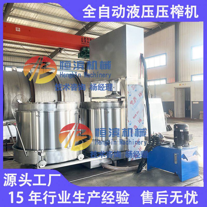 全自动枸杞鲜果过滤榨汁机桑葚青梅果酒压榨机中药渣压滤机