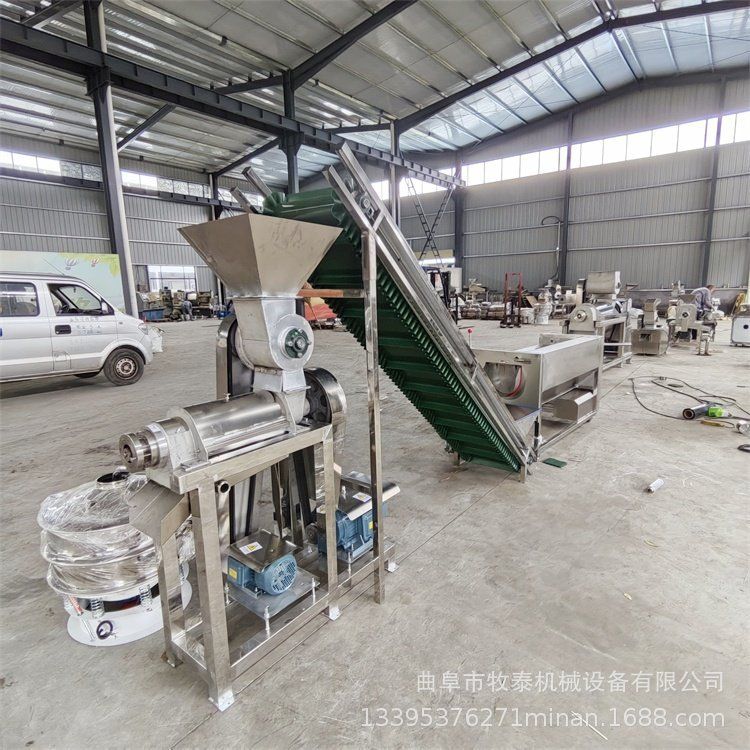油甘果杨梅大型工业破碎榨汁机压生姜汁设备 菠萝橙子柠檬取汁机