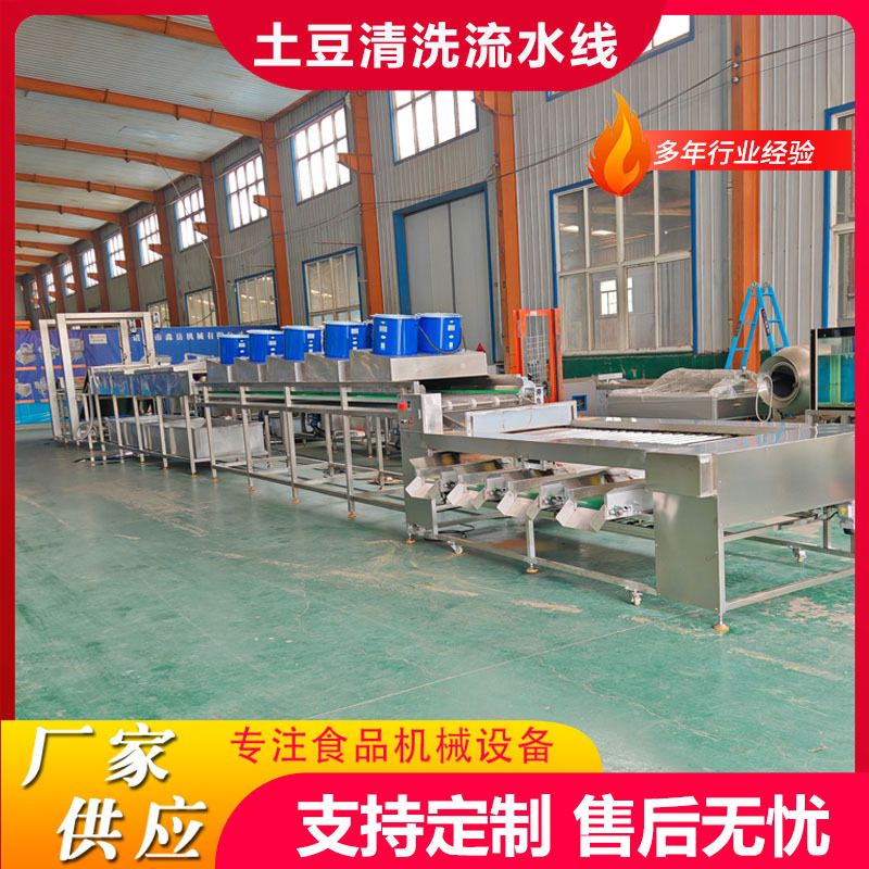 厂家定制土豆清洗不伤皮清洗机大型毛刷土豆清洗机毛辊土豆清洗机