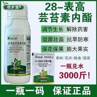 芸苔素内脂酯云台素植物生长调节剂玉米水稻增产蔬菜果树茶保花果