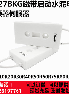 BKG 磁带水泥变频器启动电阻充电电阻80W 10R 20R 30R40R50R100欧