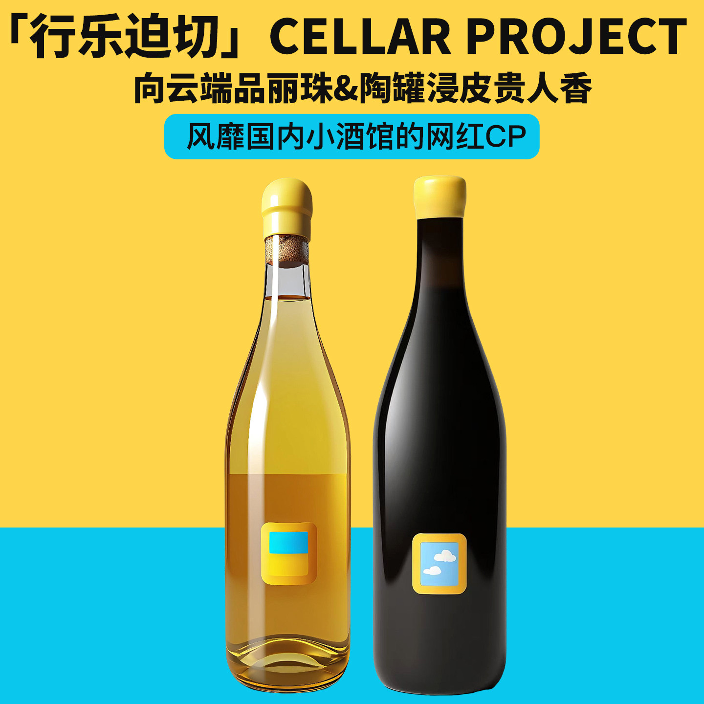 风靡国内小酒馆网红CP！行乐迫切向云端干红/去海边浸皮白葡萄酒