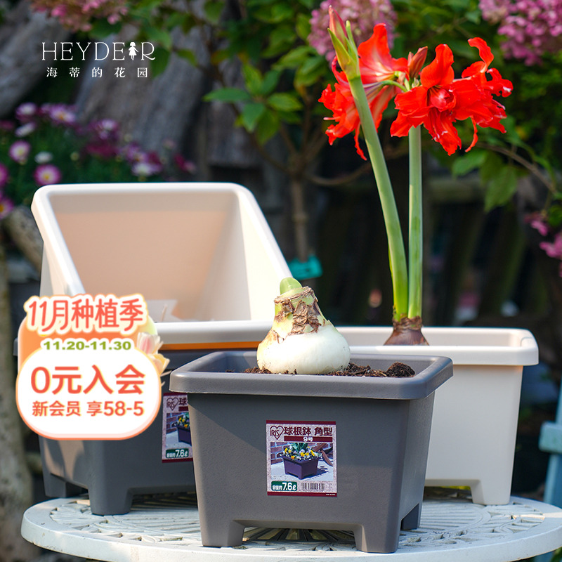 简约风种球花盆透气透水结实耐用