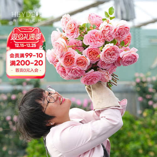 海蒂的花园亚伯拉罕可藤可灌月季